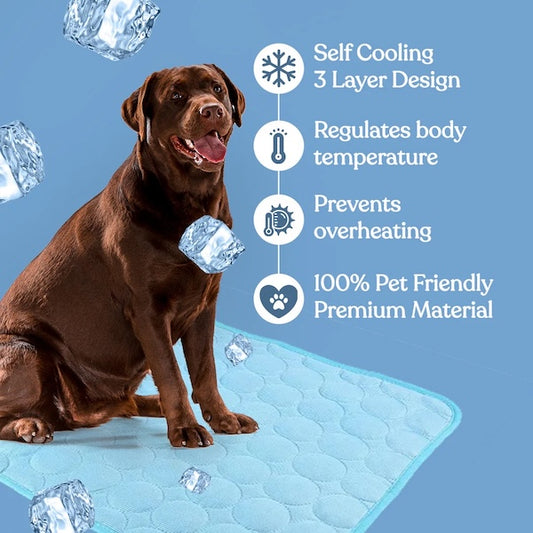 Hladilna podloga – PetCool Pad 100x70 cm